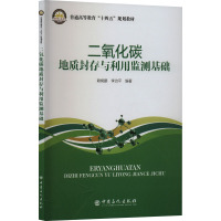 二氧化碳地质封存与利用监测基础