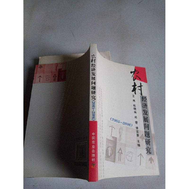 正版新书】农村经济发展问题研究王伟9787109115934
