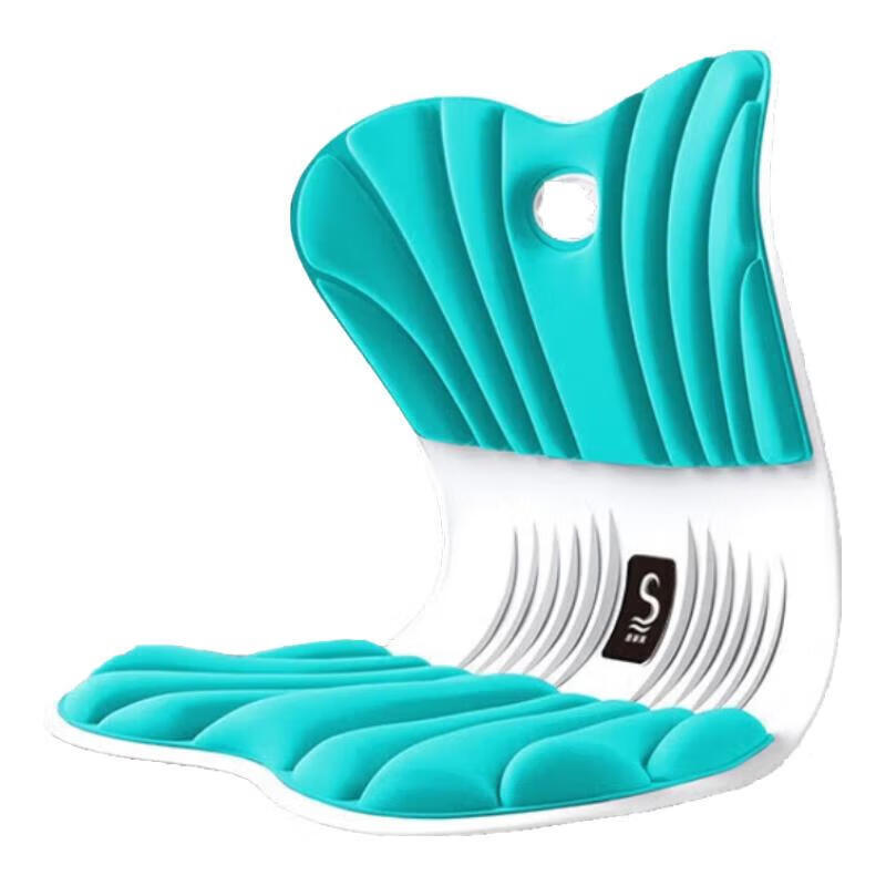 思菲其护腰坐垫人体工学椅护腰靠背垫椅子坐垫护腰久坐神器办公家用座垫 活力蓝ZD301