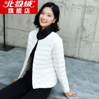 北极绒轻薄羽绒服女短款2019冬季新款韩版大码轻便内胆修身圆领外套60CY1901