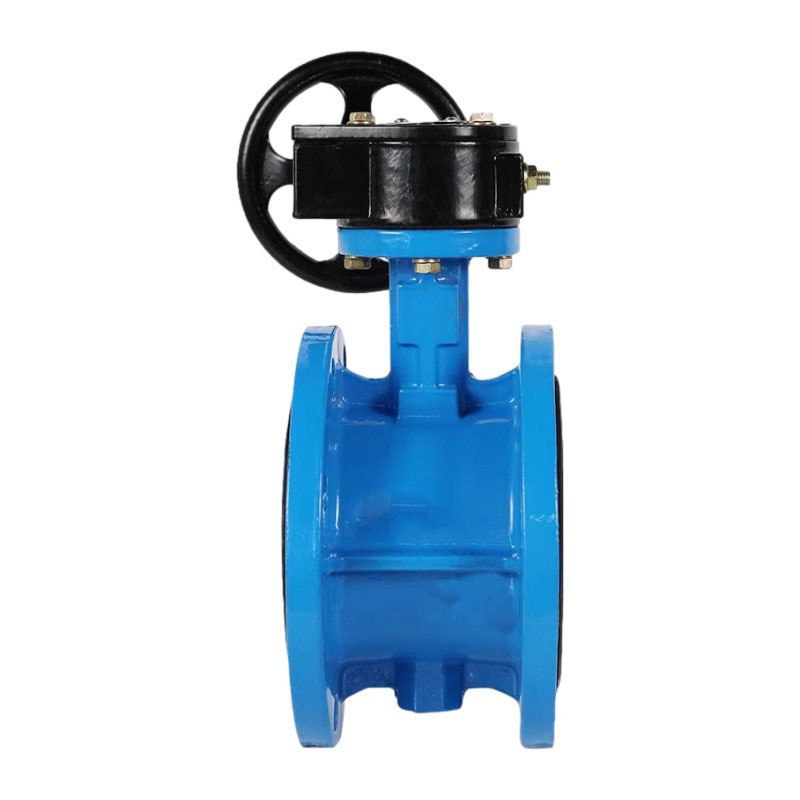 冰城同祥 法兰式伸缩蝶阀 DN100 台高清大图