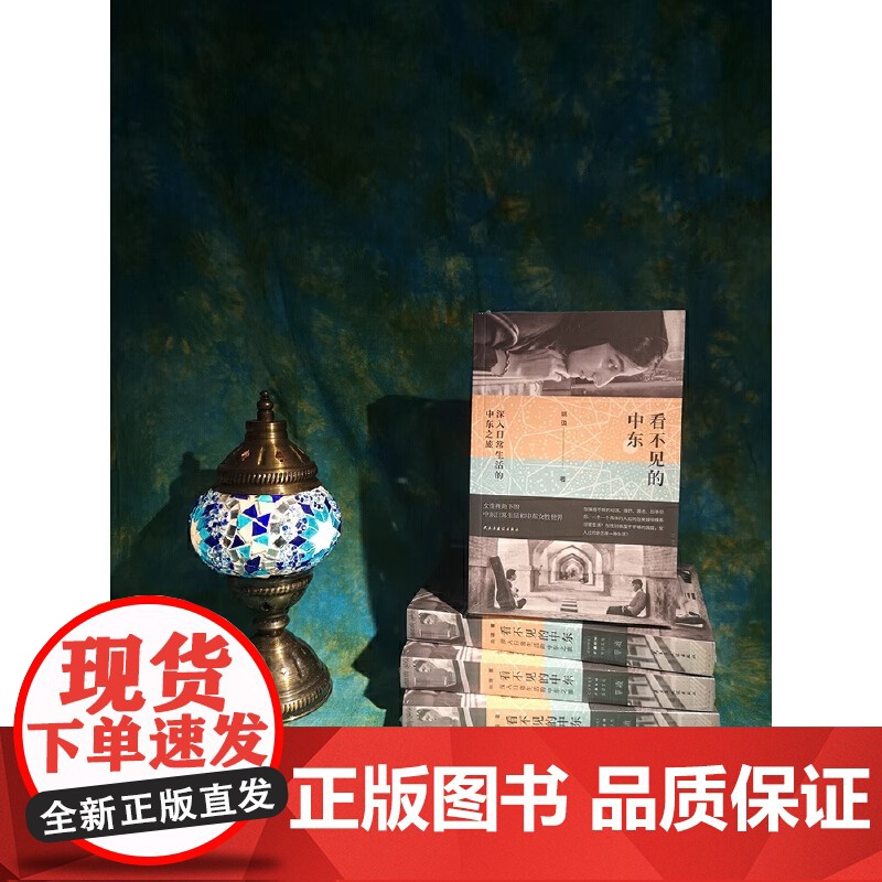 看不见的中东:深入日常生活的中东之旅(罩袍之下的中东女性世界动荡世界夹缝中鲜活具体的中东日常生活一位中国女性历时高清大图