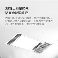 欧普照明(OPPLE) 双核取暖+照明+换气+吹风 四合一 PTC陶瓷双核浴霸暖风模块嵌入式集成吊顶卫生间风暖浴霸暖风机
