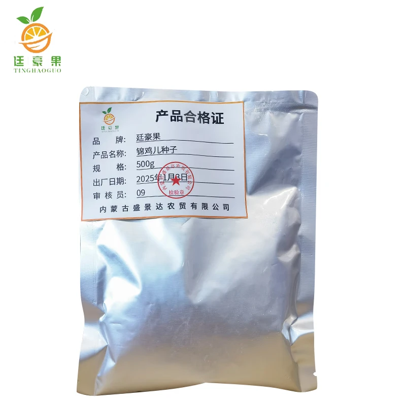 廷豪果 锦鸡儿种子 柠条种子 一级净籽 500g/袋高清大图