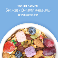 南农 酸奶水果粒燕麦片早餐食品 即食代餐 冲饮谷物杂粮干吃零食 酸奶水果粒燕麦片 420g