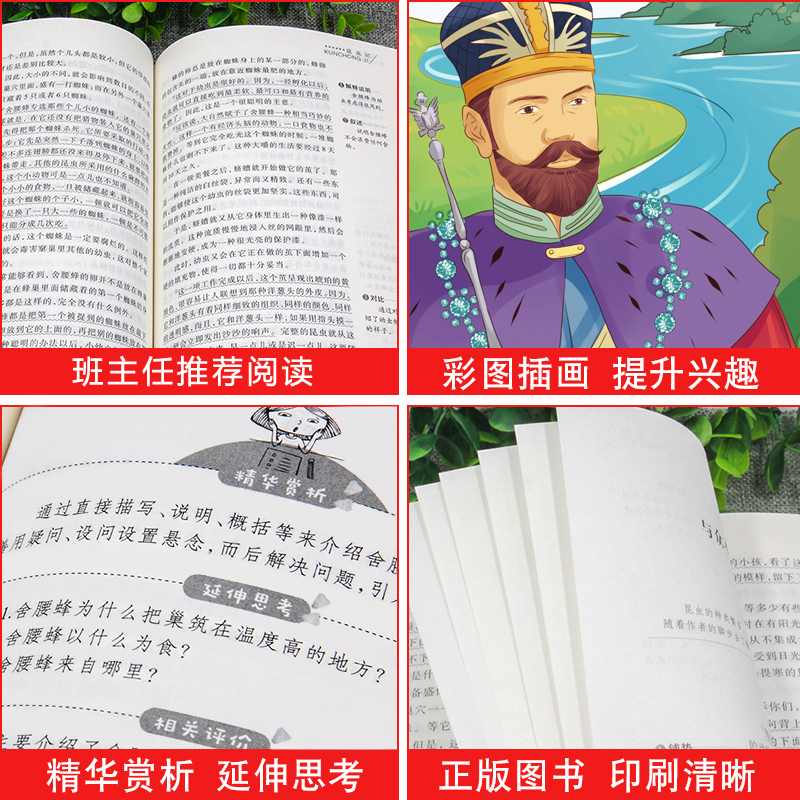 [四年级下册必读]中国的十万个为什么 [正版]地球的故事 房龙 小学生四年级下册必读书目的课外阅读书籍 老师经典快乐读书高清大图