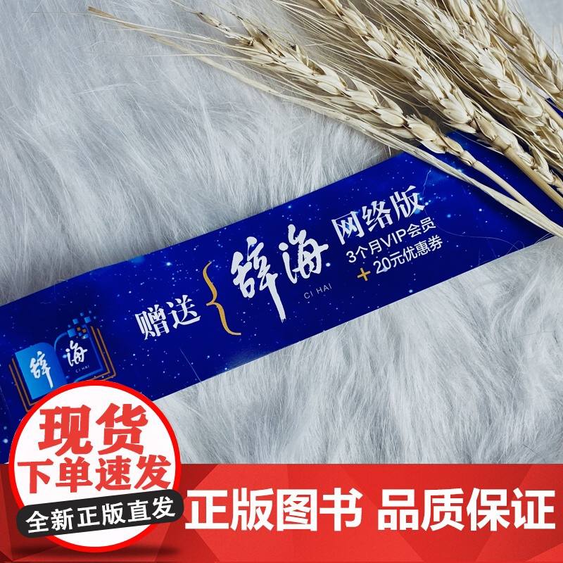 新版小学生多功能字典(全彩版)高清大图