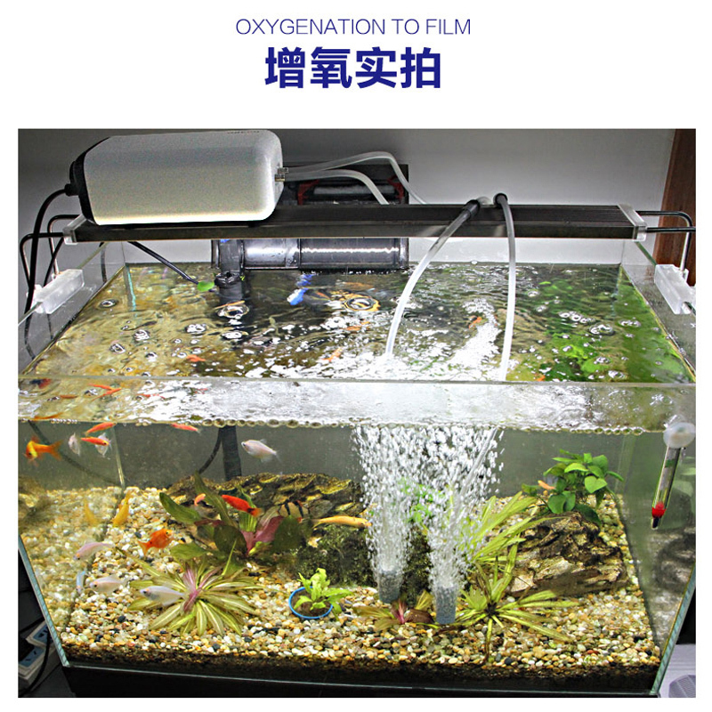 鱼缸氧气泵增氧泵大功率增氧泵增氧机小型鱼缸氧气泵高清大图