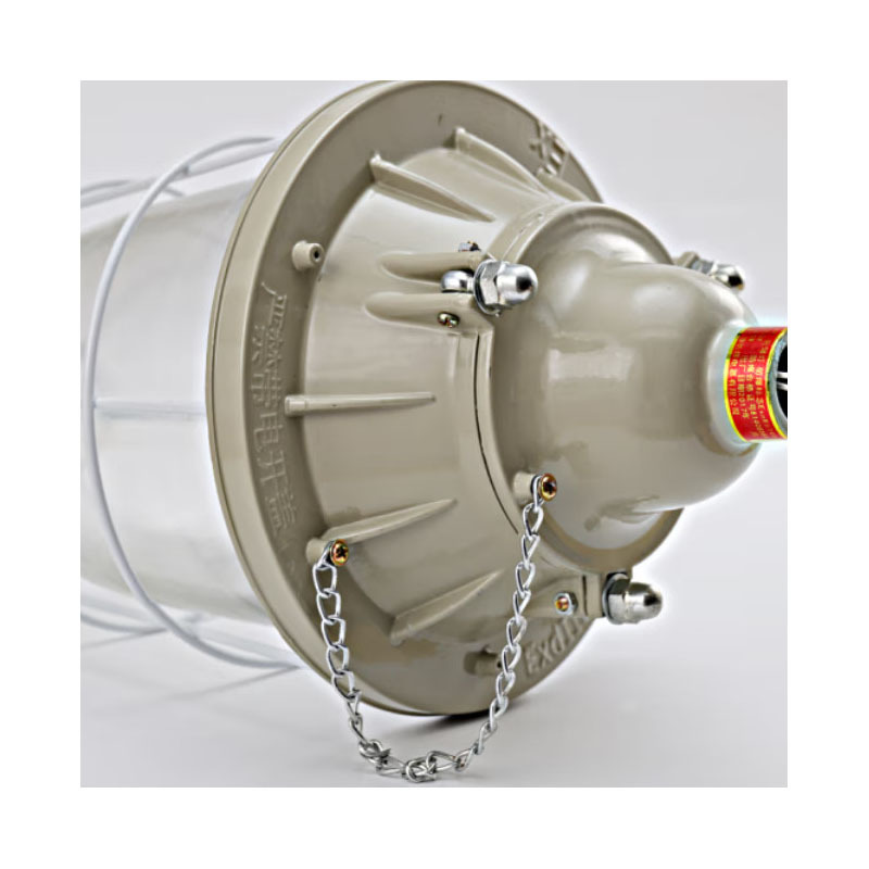 防爆灯具 灯罩250型 80w led灯泡