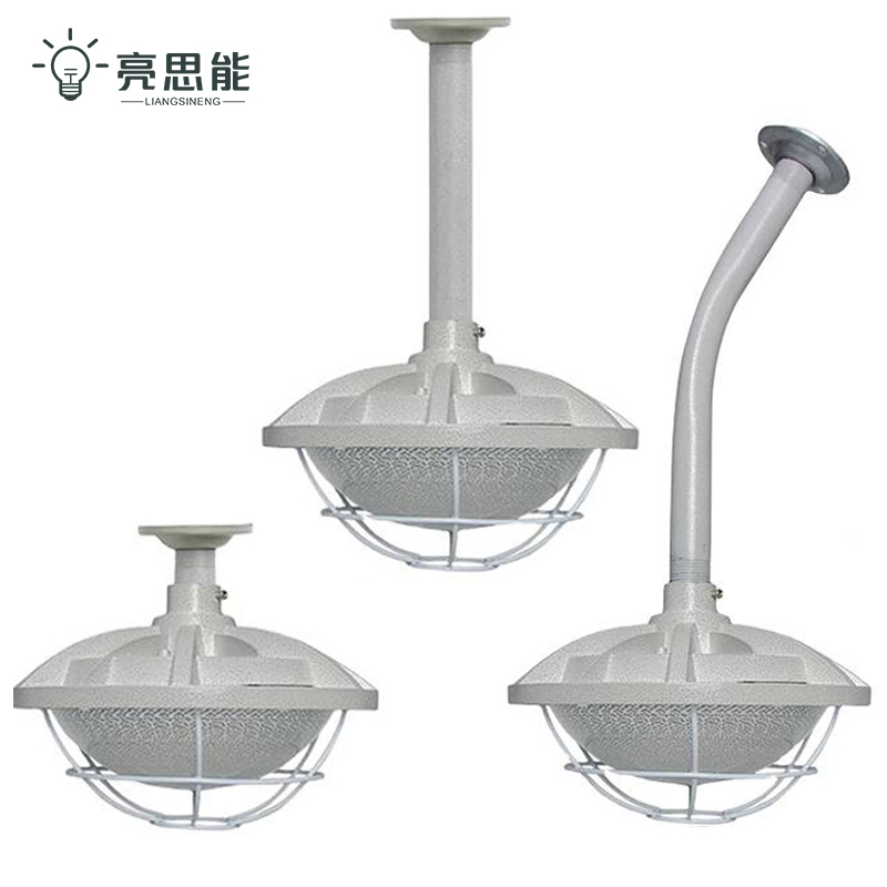 亮思能 LED防爆灯 三防飞碟灯 免维护隔爆灯LSN-DLB 30W 个