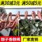 绑粽子香肠专用线 吊肠线绳子 捆腊肠线 绑香肠绳子涤棉线1.3mm 白色 2两(2把112米)