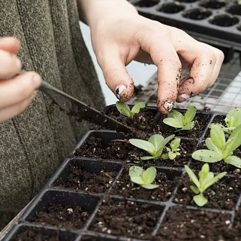 隆脉 砖土 袋高清大图