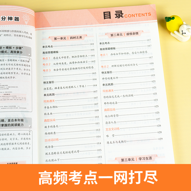 [中考/九年级]阅读理解与答题模板 初中通用 [正版]2024初中语文阅读理解答题模板七年级八年级上下册九年级阅读理解专