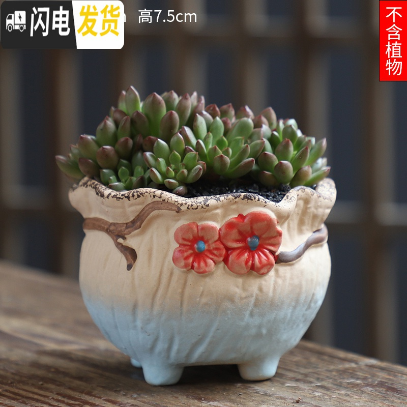 三维工匠可画画上色彩多肉小花盆陶瓷特价清仓粗陶透气创意肉肉植物盆 咖啡色图片款【1个装】 中等_248