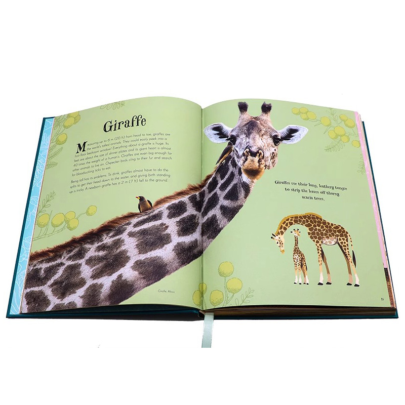 DK典藏博物馆:植物的秘密世界 [正版]DK典藏博物馆系列 自然/生物/宇宙/世界/地球探索发现图解百科An Antho高清大图