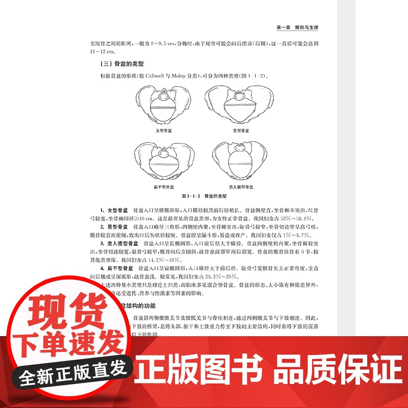 产后康复治疗学高清大图