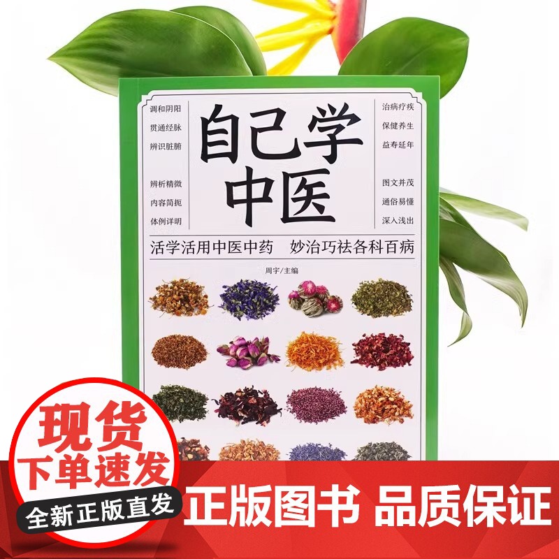 正版 自己学中医 不生病的智慧中医养生保健 中医入门诊断偏方秘方基本知识中医学习中医常见药材掌握求医不如求己自学百日通书高清大图