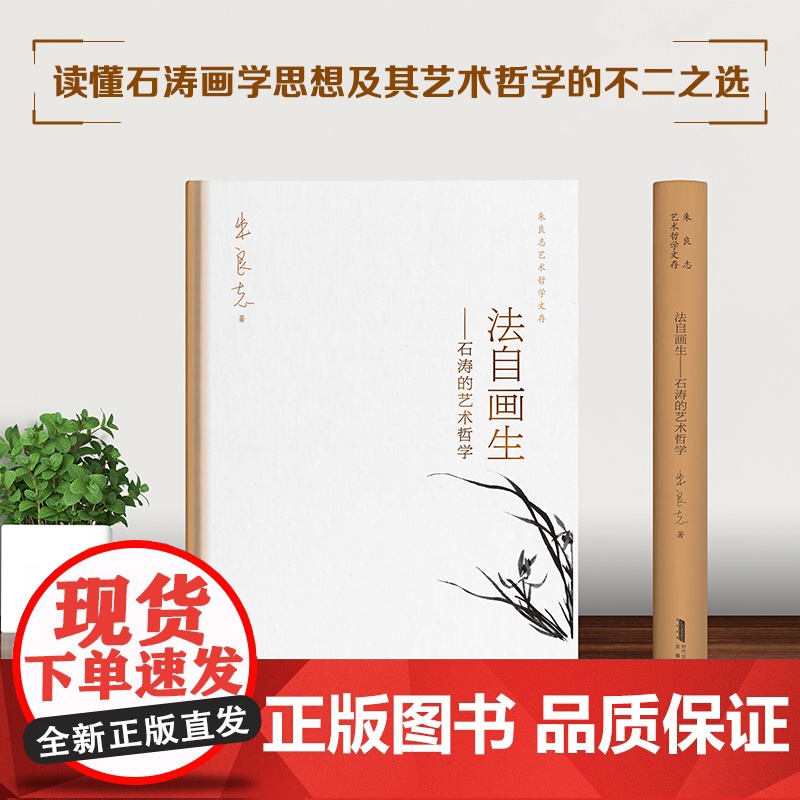 法自画生——石涛的艺术哲学 朱良志艺术哲学文存 中国美学入门 人物传记 解读“一画”论 《画语录》释读高清大图