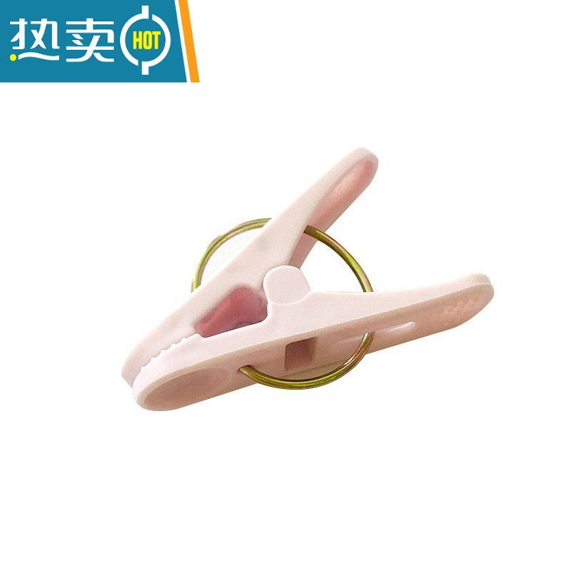 敬平塑料夹子晾衣架衣服晾衣夹家用防风固定小胶晾晒夹晒衣夹小号衣夹