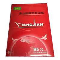 晨鸣 B5靓舰复印纸 70G 打印白纸 办公用纸 纯木浆 试卷纸 8包/箱
