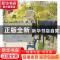 正版 惊艳米兰:2011米兰国际家具展:salone internazionale del
