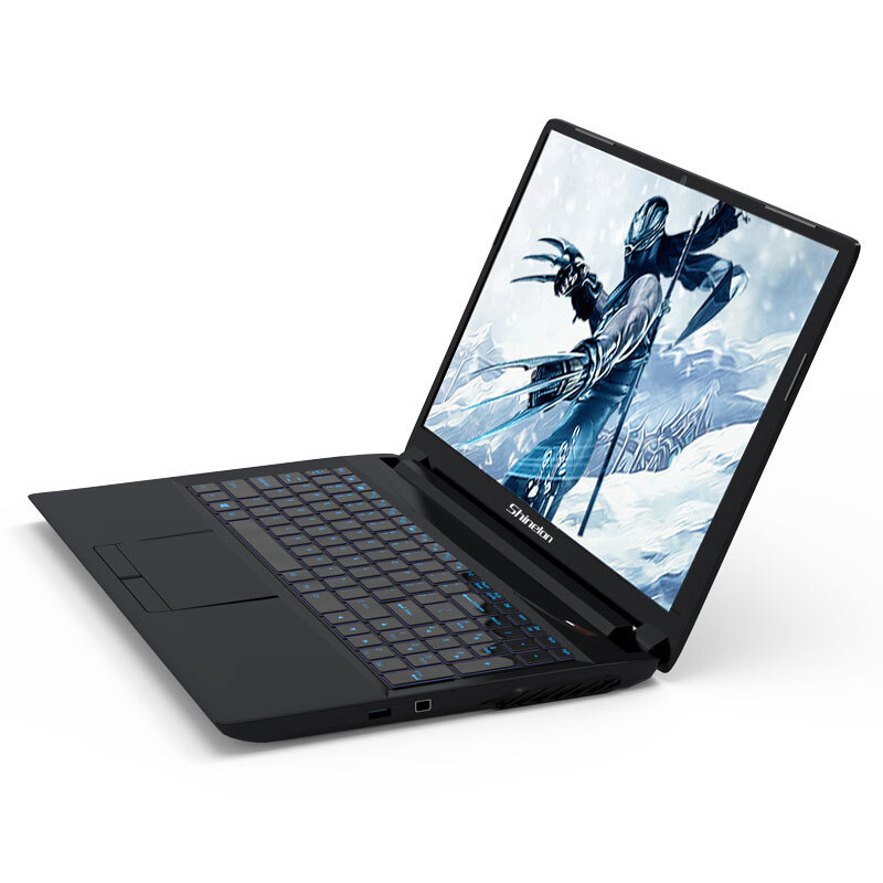 炫龙(Shinelon)T3Ti 英特尔酷睿i5-9300H GTX1660Ti 6G 15.6英寸游戏笔记本电脑(8G 1TB HDD IPS)