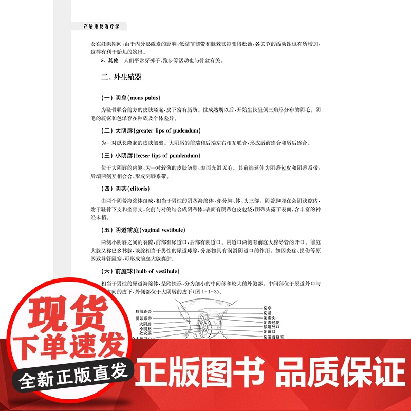 产后康复治疗学高清大图
