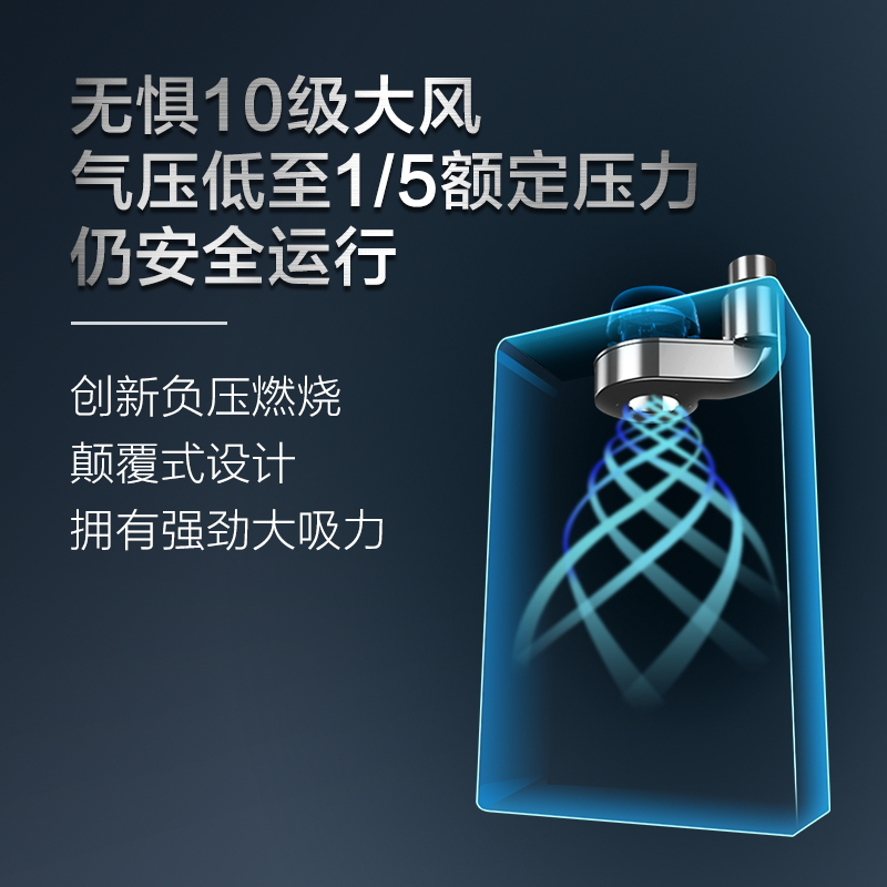 A.O.史密斯 家用燃气快速热水器 室内强制排气式 JSQ26-CSCX