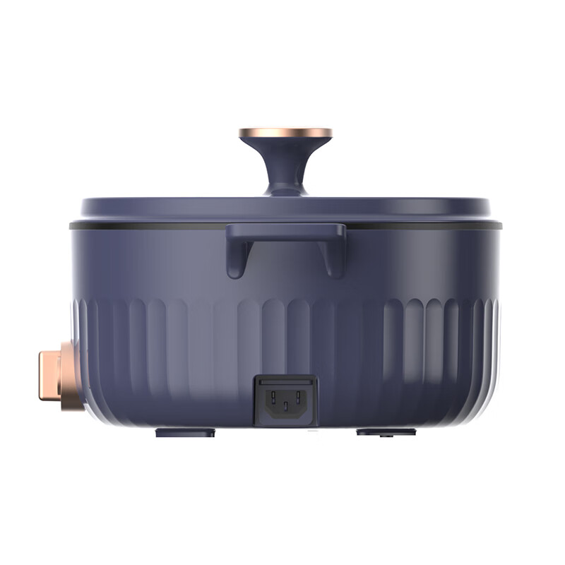 九阳多用途锅家用3L电煮锅电火锅HG30-G670高清大图
