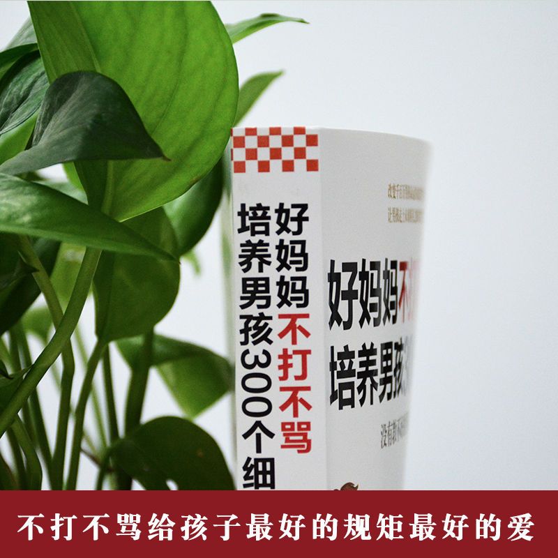 好妈妈不打不骂培养男孩300个细节 不打不骂教育男孩家教育儿书籍 卡尔威特的教育