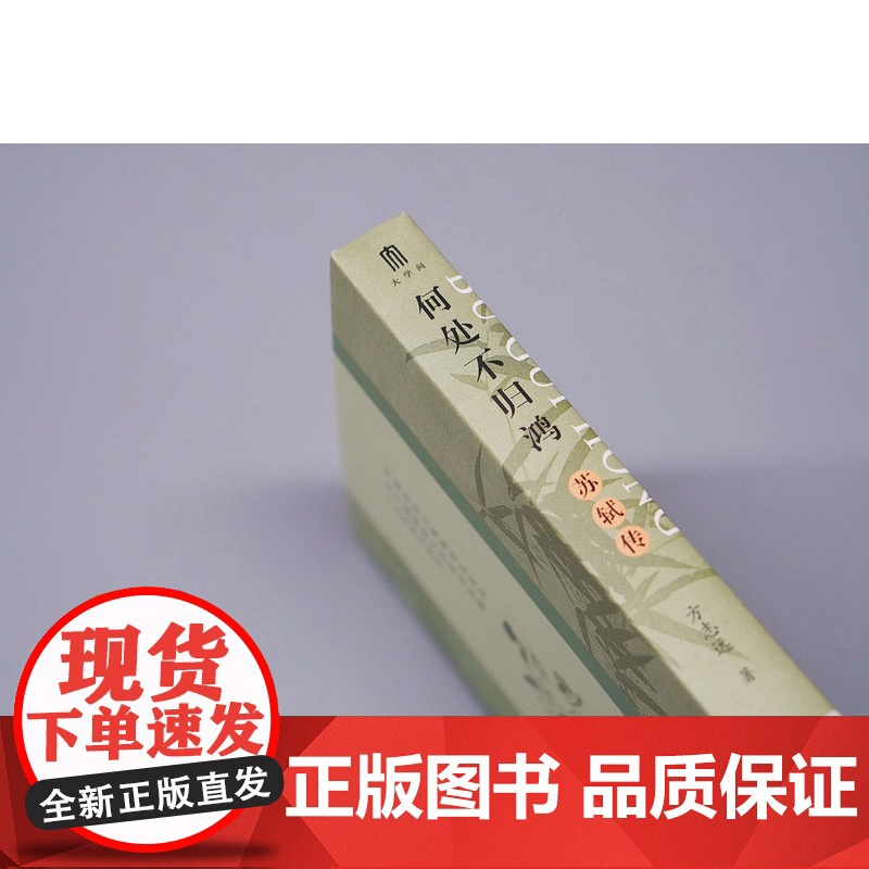 大学问 何处不归鸿:苏轼传 方志远/著 历史传记 苏轼 东坡 传记文学 广西师范大学出版社高清大图
