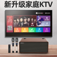 山水（SANSUI） H3 家庭KTV K歌音响套装 套装家庭影院 电视音响全民K歌音响 无线双麦克风居家K歌版家庭音响