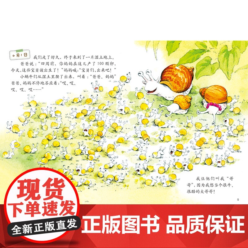 蜗牛的日记我的日记系列单本精装绘本图画书适合3岁以上幼儿园读物中少社出版正版童书高清大图
