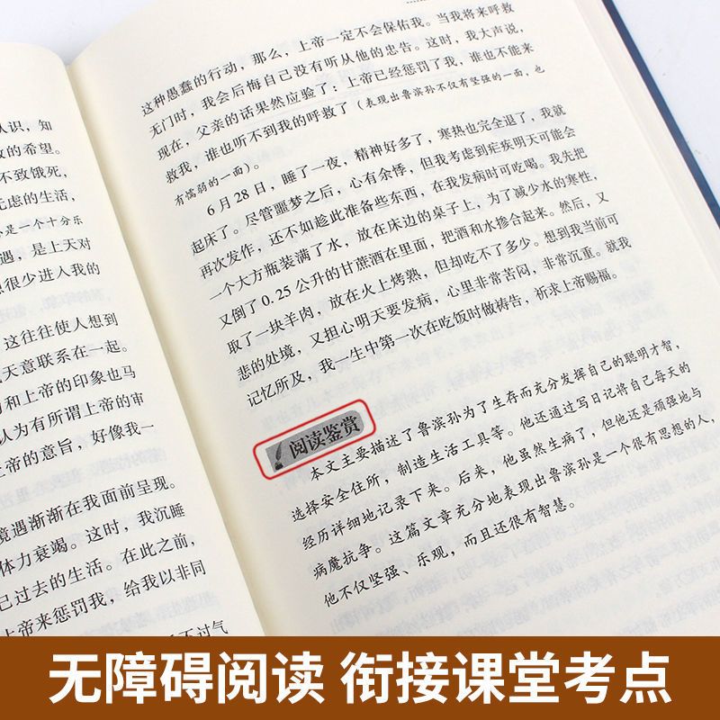精装版 捣蛋鬼日记 精装正版汤姆索亚历险记鲁滨逊漂流记小学生课外必读课外书