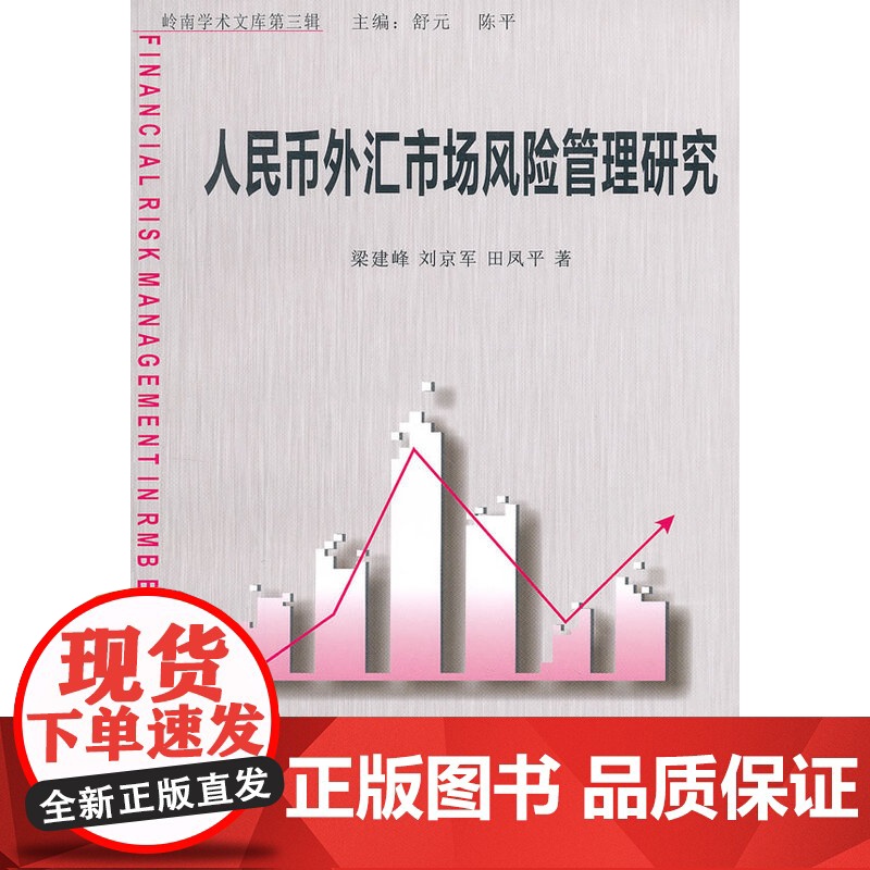 人民币外汇市场风险管理研究高清大图