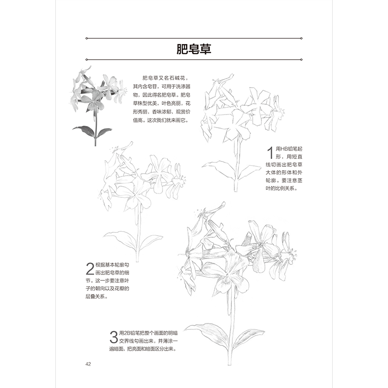 醉染图书零基础学会素描 精进篇9787571334826高清大图