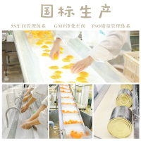 【砀山特产】新鲜黄桃罐头425g*6罐装 鲜桃生产儿童孕妇酸甜脆爽桃香诱人T6