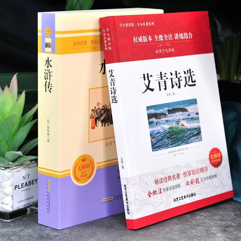 [九年级上下4册]水浒传艾青简爱儒林外史(赠考点) [正版]水浒传原著未删减完整版初中生青少年九年级上学生版必现代文半文