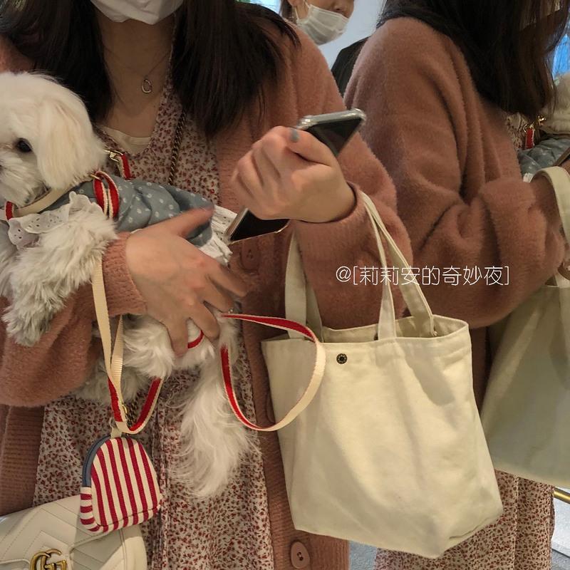 莉莉安马卡龙色系小手提包女外出学生手拎2021新款包包迷你帆布包 好看的粉小手提 单个