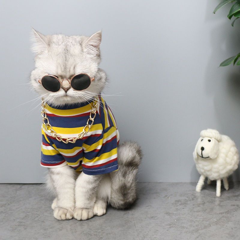 猫咪衣服春夏薄款可爱狗狗小型犬t恤潮牌宠物猫服饰英短蓝猫衣服撞色