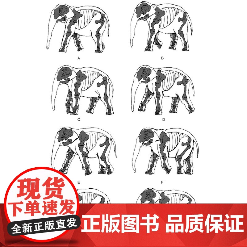 原画设计实训教程第二版 上海人民美术出版社二维三维动画基础理论原稿理念创意高清大图