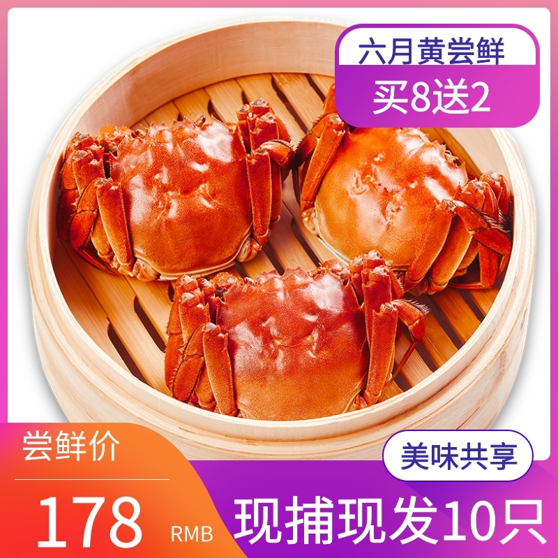 鲜活六月黄大闸蟹2.0两8只装鲜活童子蟹适合香辣面拖