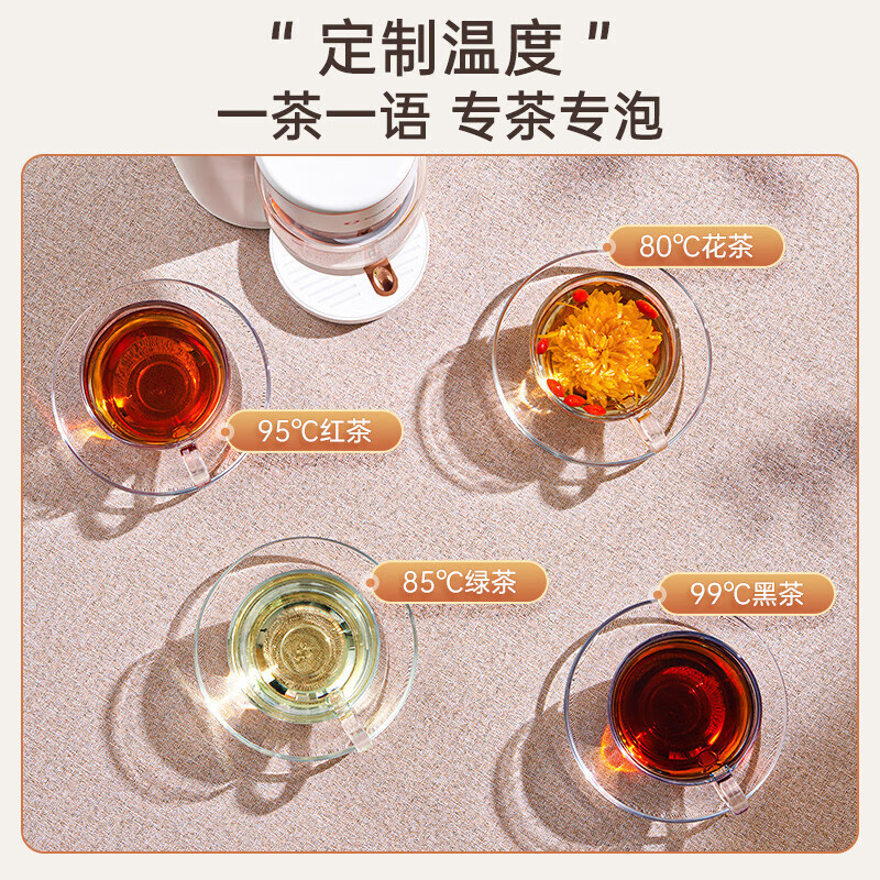卓朗即热式饮水机煮茶壶 煮茶器煮茶烧水一体机 台式速热泡茶机可拆卸冲泡茶壶 家用办公室 ZL-TD01高清大图