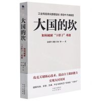 大国的坎(如何破解卡脖子难题)