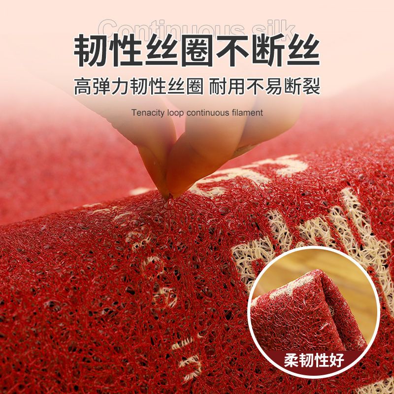 中式地垫入户门垫家用进门脚垫卫生间浴室门口垫子丝圈防滑高清大图