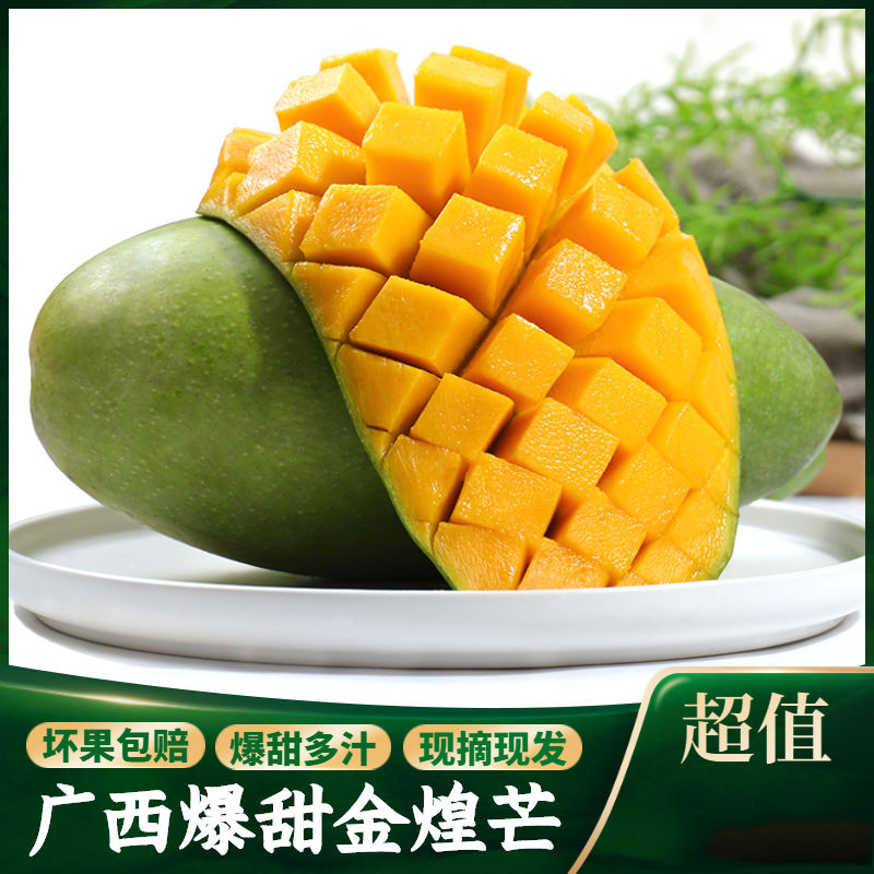 (需催熟)广西百色金煌芒果5斤大果(单果300-400g)新鲜水果整箱当季现摘大果生鲜自营新鲜大芒果热带水果甜心芒高清大图