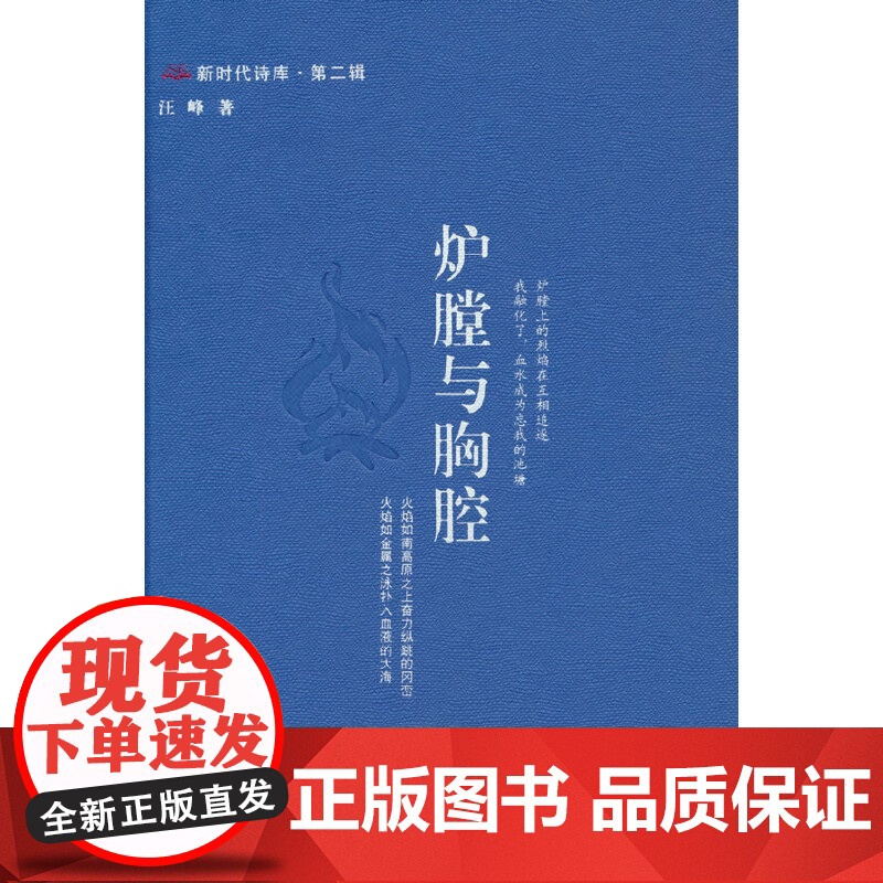 炉膛与胸腔 新时代诗库 第二辑 以工业和劳动为主题的诗集 中国言实出版社高清大图