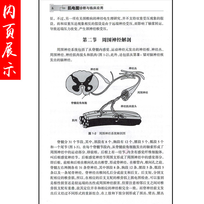 [正版] 肌电图诊断与临床应用第2版第二版 党静霞编著 肌电图案例教程图谱 基础医学参考工具书籍 人民卫生出版社978高清大图