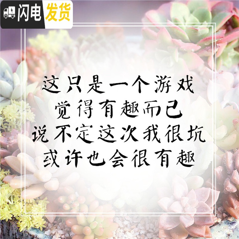 三维工匠紫砂花盆君子兰花盆陶瓷创意植物古典粗陶绿植月季吊兰花盆小盆景 19.9元随机紫砂花盆一个 中等花盆容器