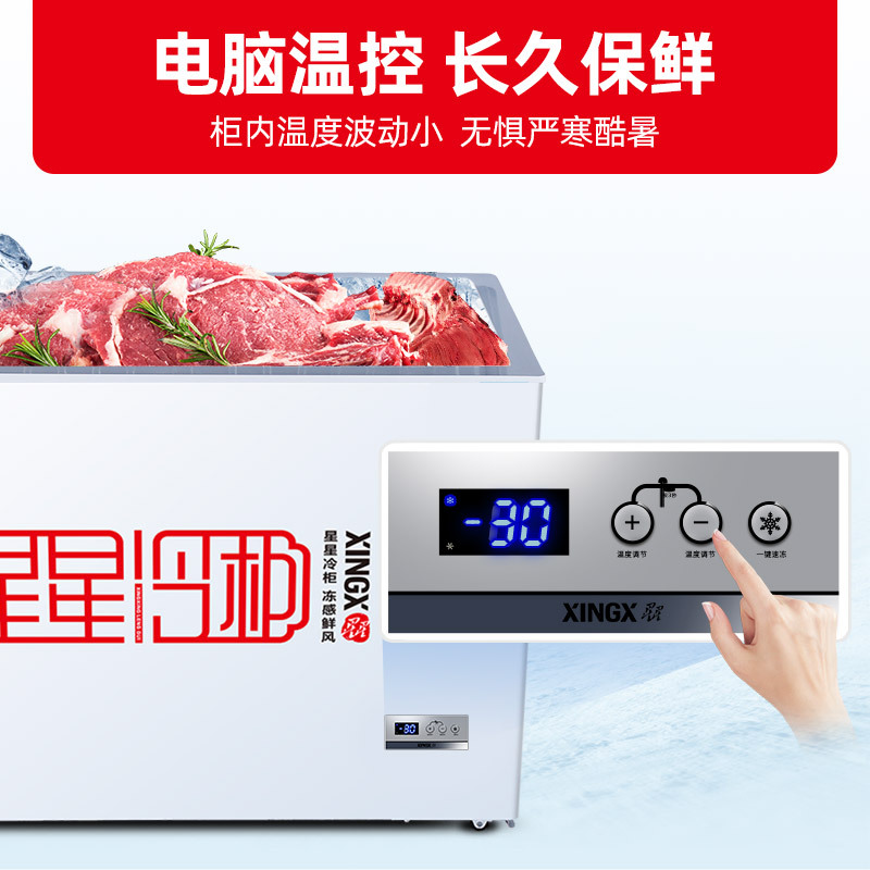 星星(XINGX) 273升 家用冰柜 冷柜 冷藏冷冻转换冰柜 顶开门 节能省电(白色) BD/BC-273FE